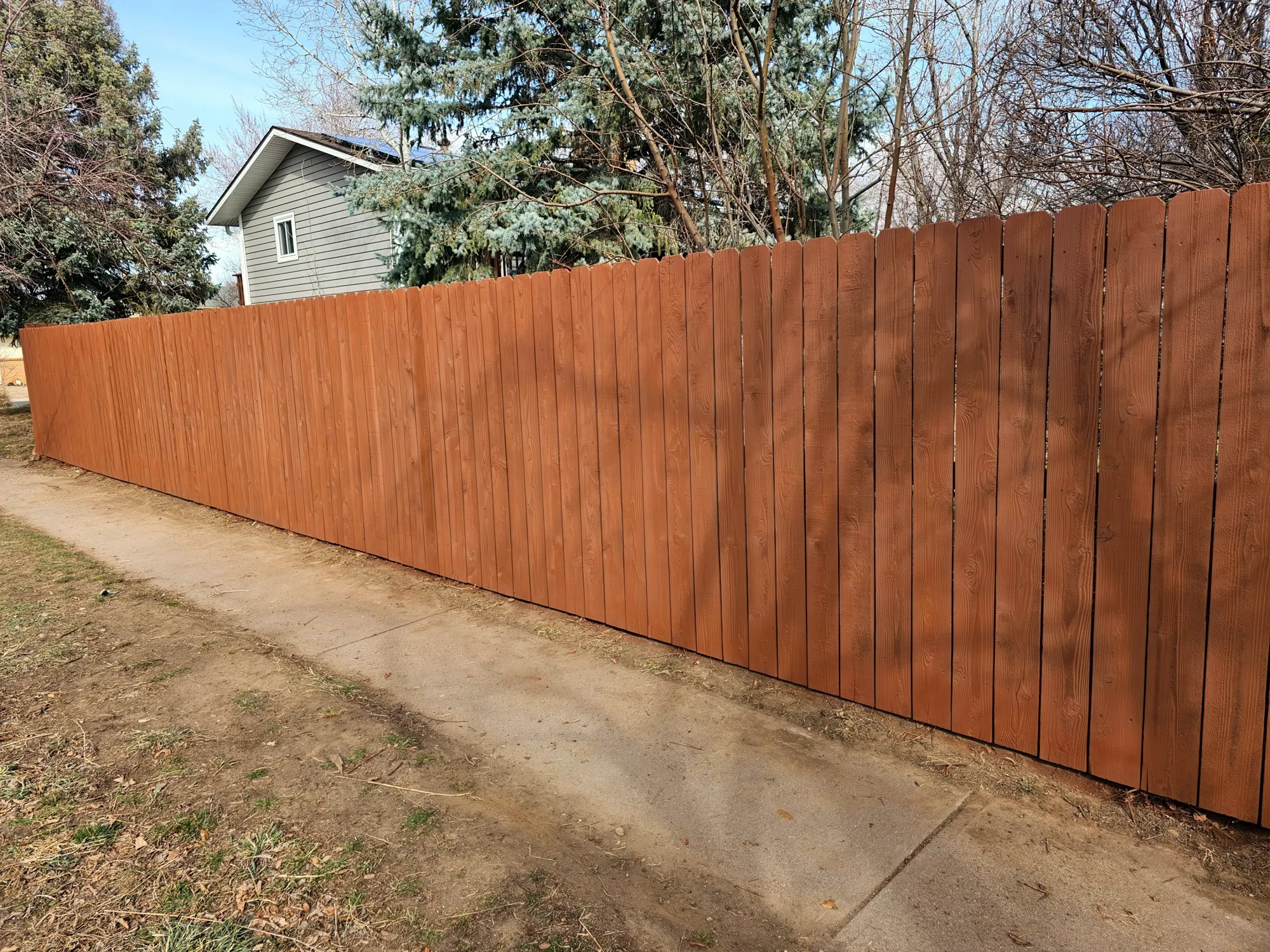 Long wood fence stained a redwood color beside a sidewalk