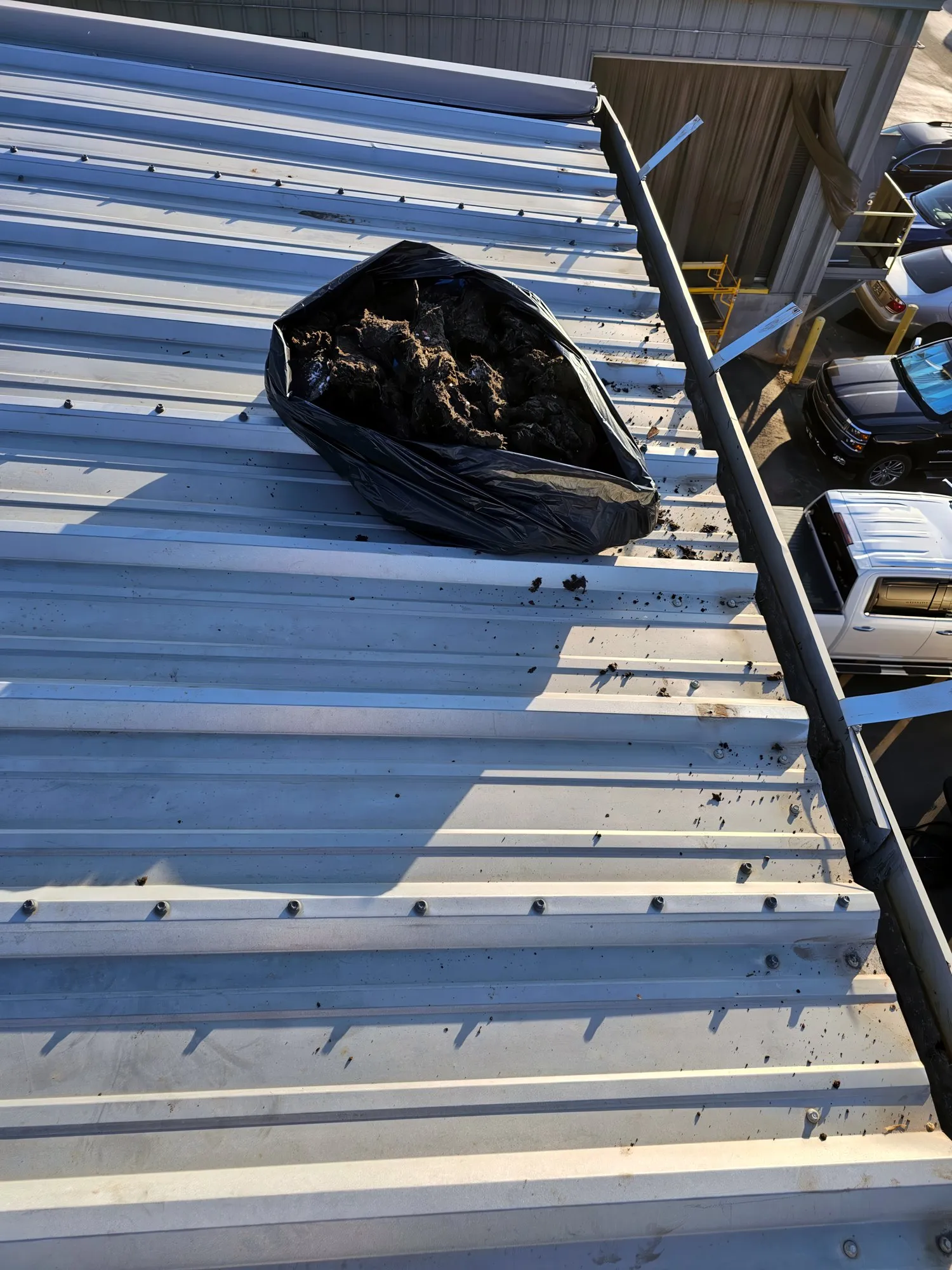Bag of debris pulled from the gutters on a metal roof