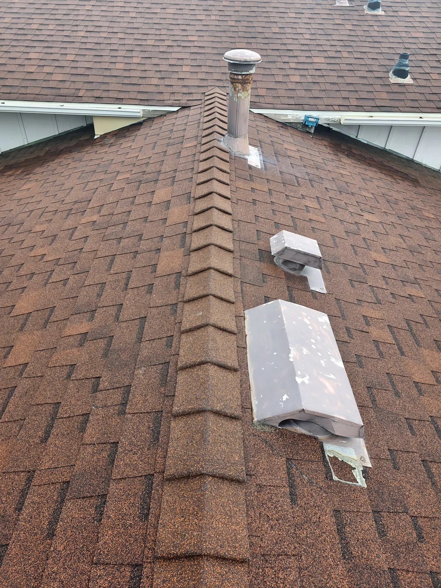 New ridge cap shingles and roof vents on a brown shingle roof