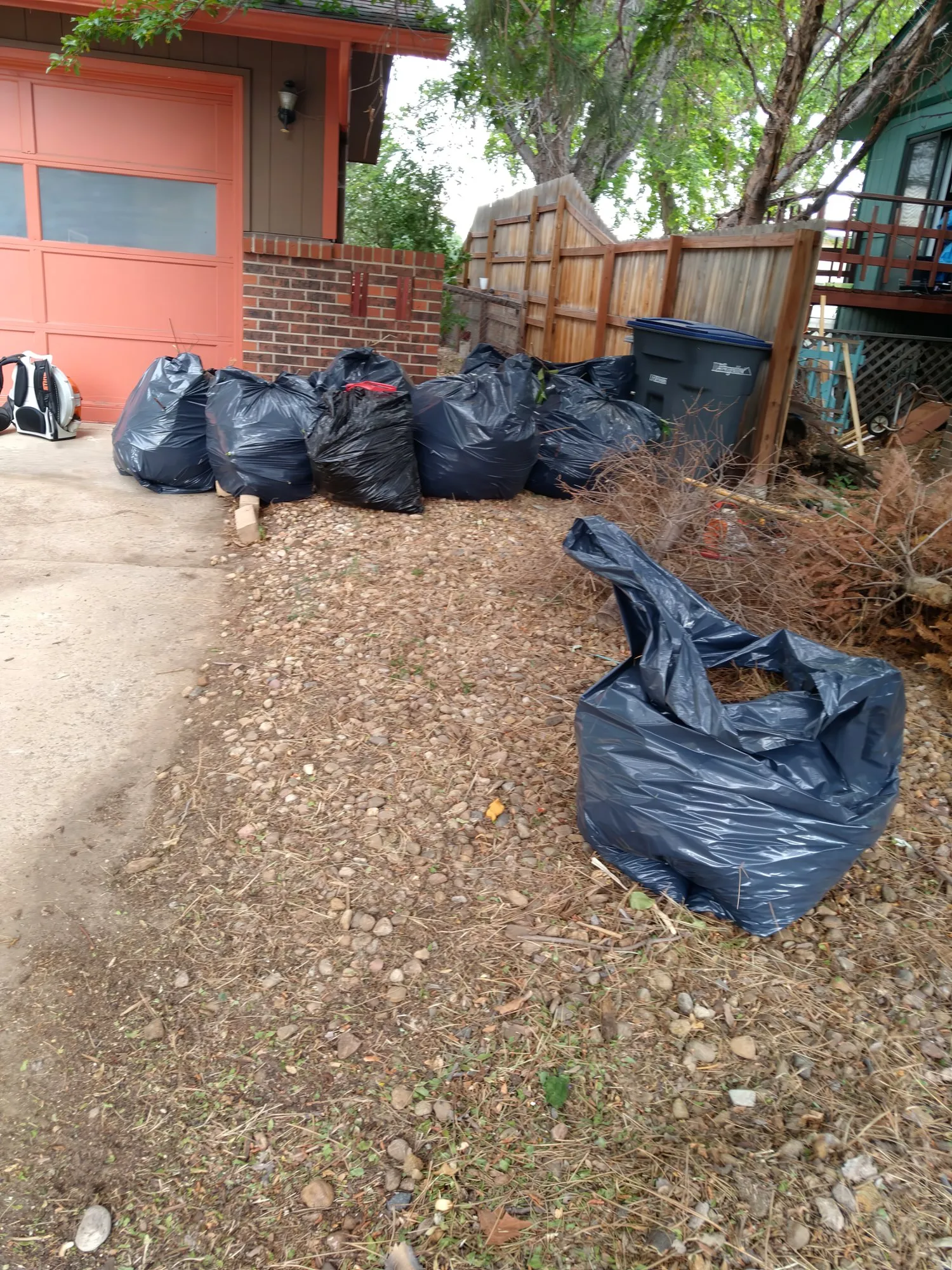 Row of full yard-waste bags in a front yard