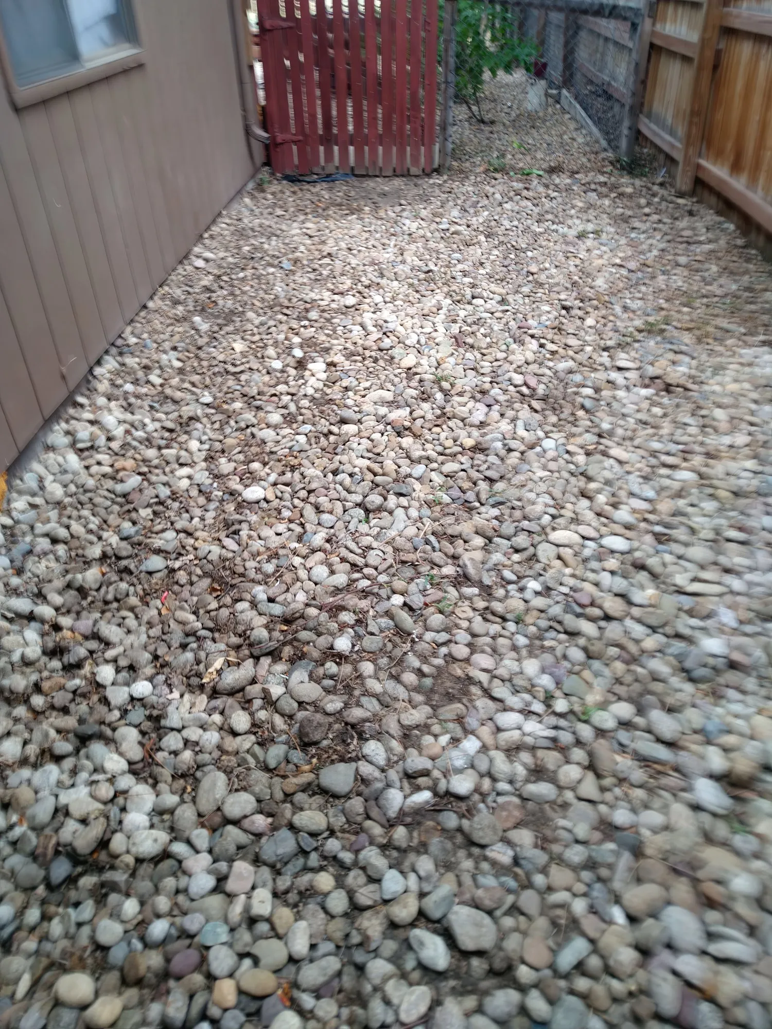 Clean river-rock side yard between a house and a fence