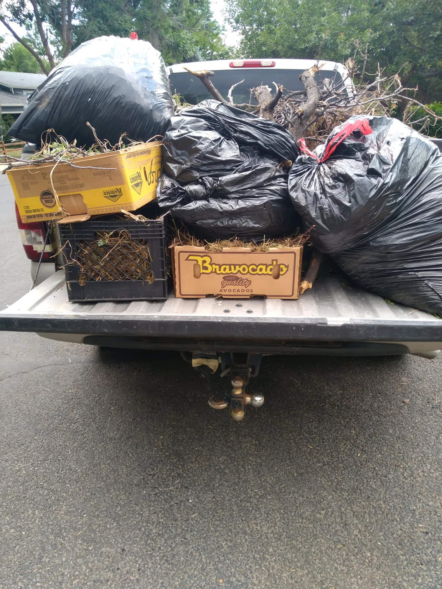 Pickup truck bed full of yard waste bags and branches